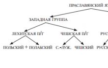 Sanojen reuna'янської групи Російська мова мовна група
