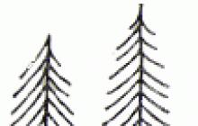Pochatkivtsi: cara melukis hutan musim luruh